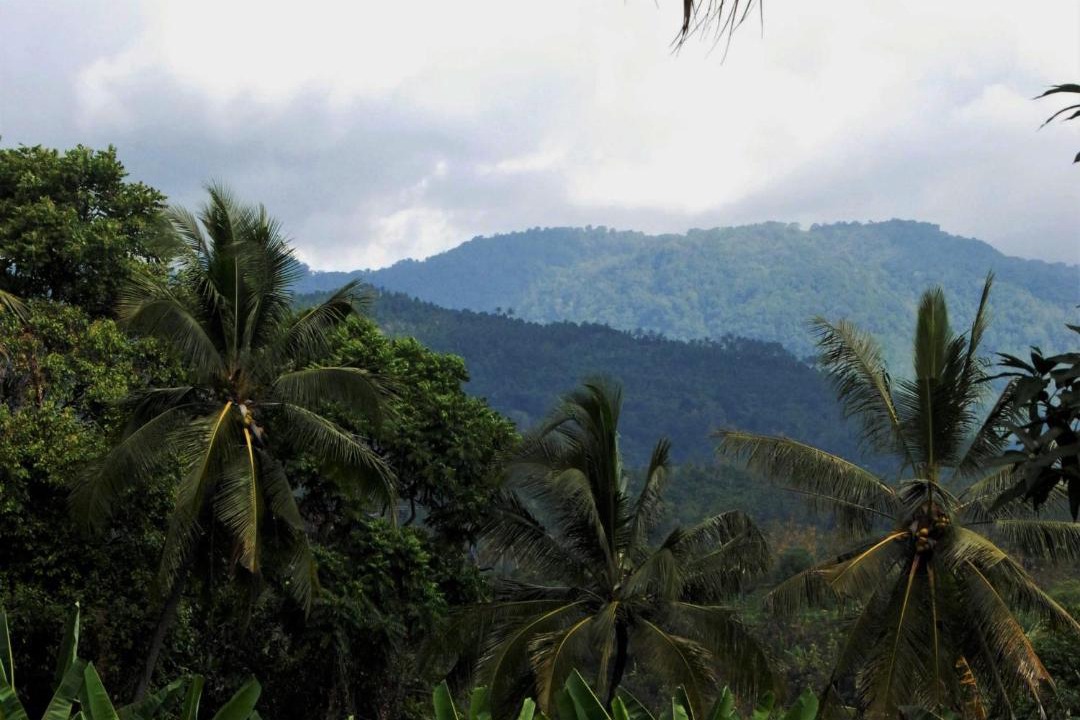 Photo of Others in Rangdu