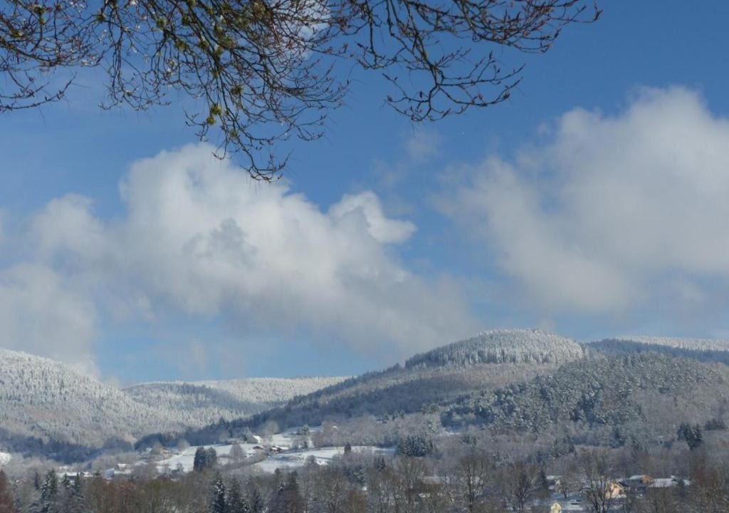 Photo of Others in Ramonchamp