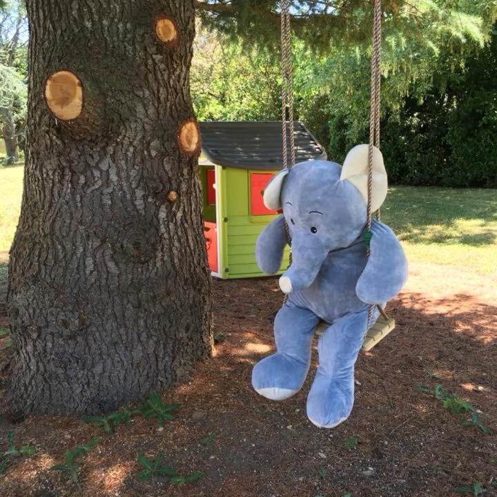 Photo of Others in Escolives-Sainte-Camille