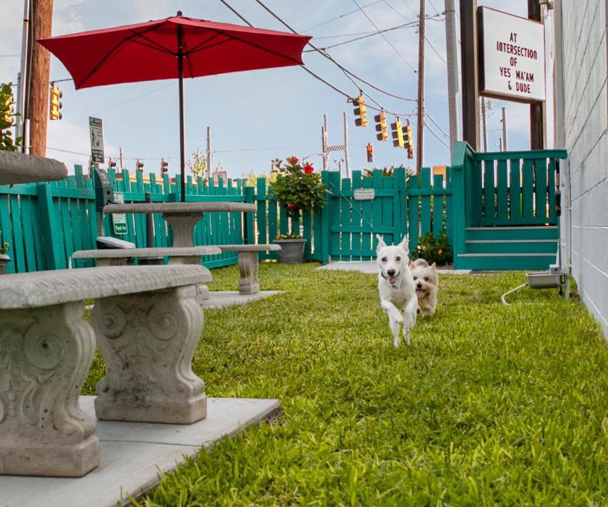 Photo of Others in Yamacraw Village
