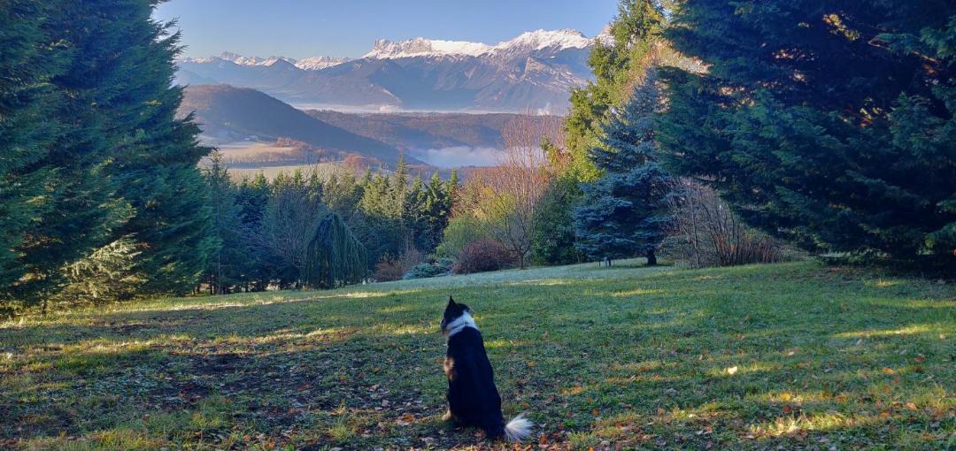 Photo of Outdoor in Poisat