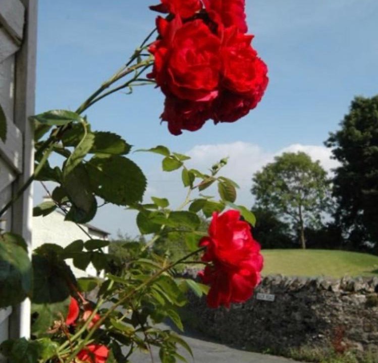 Photo of Others in Lindale