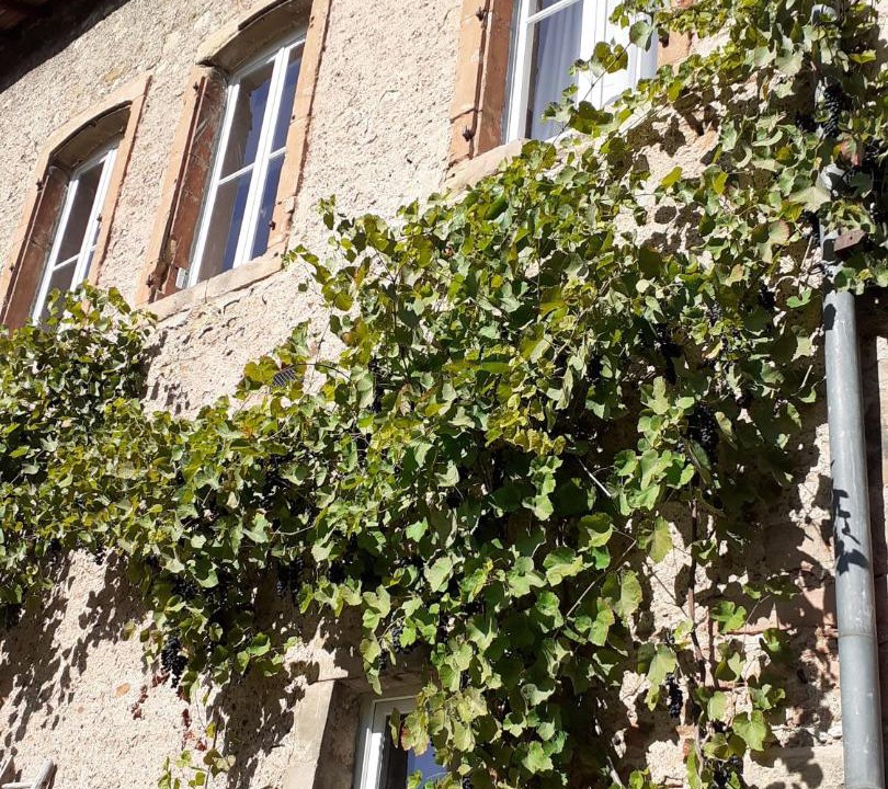 Photo of Others in Arnaville