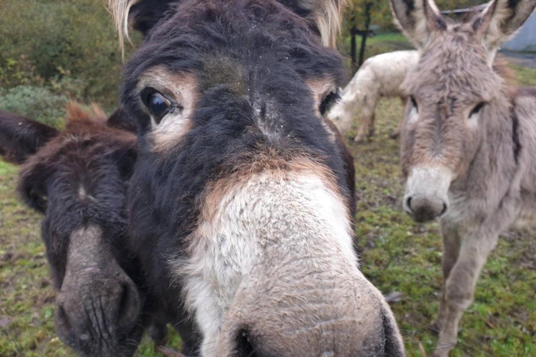 Photo of Others in Montory