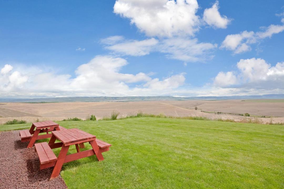 Photo of Others in Pendleton