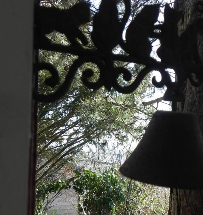 Photo of Others in Cote Ouest Ormeaux