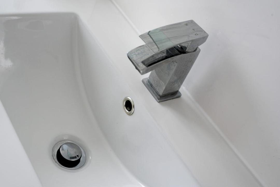 Photo of Others in Mountain Ash