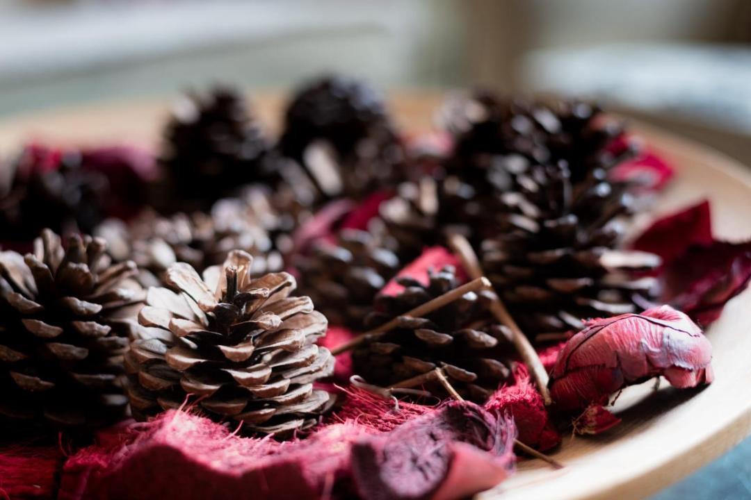 Photo of Others in Mountain Ash