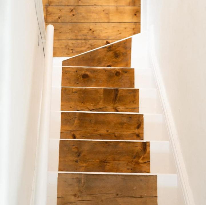 Photo of Others in Mountain Ash