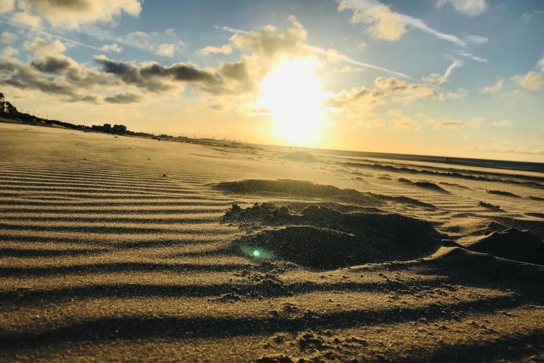 Photo of Others in Leffrinckoucke