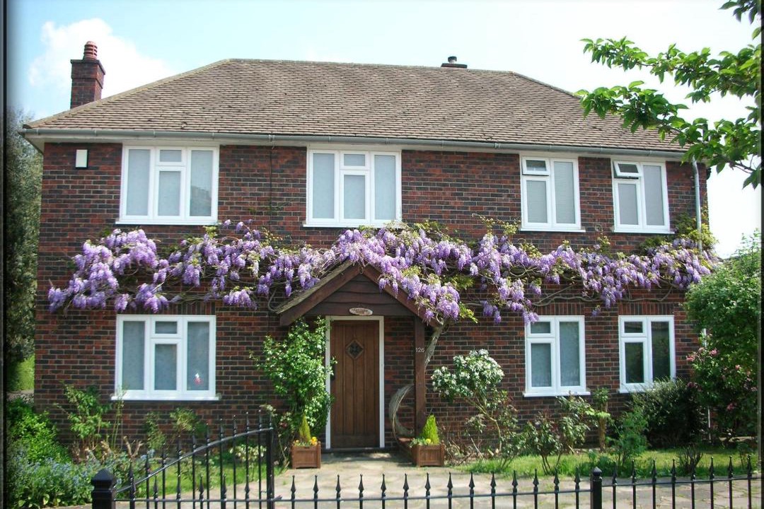 Photo of Others in London Borough of Bromley