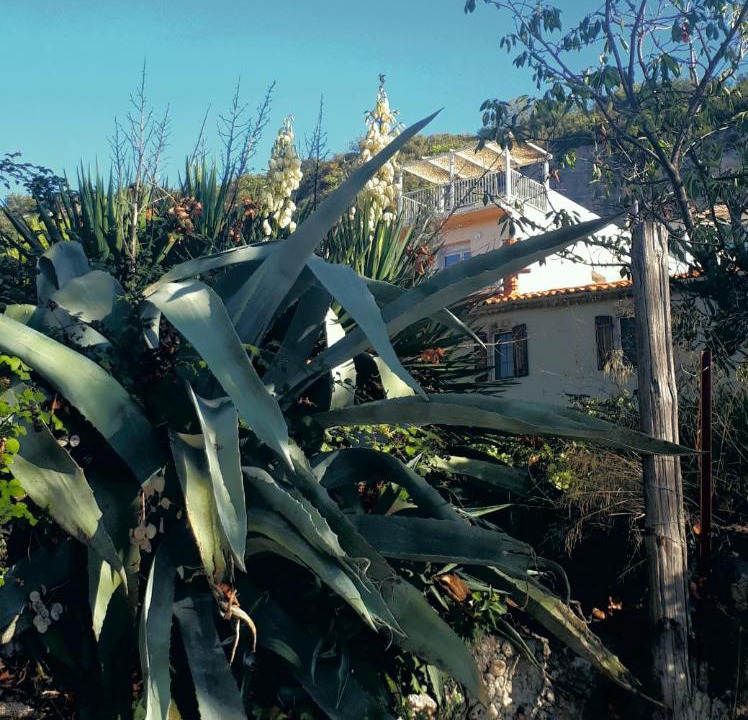 Photo of Others in La Caunette