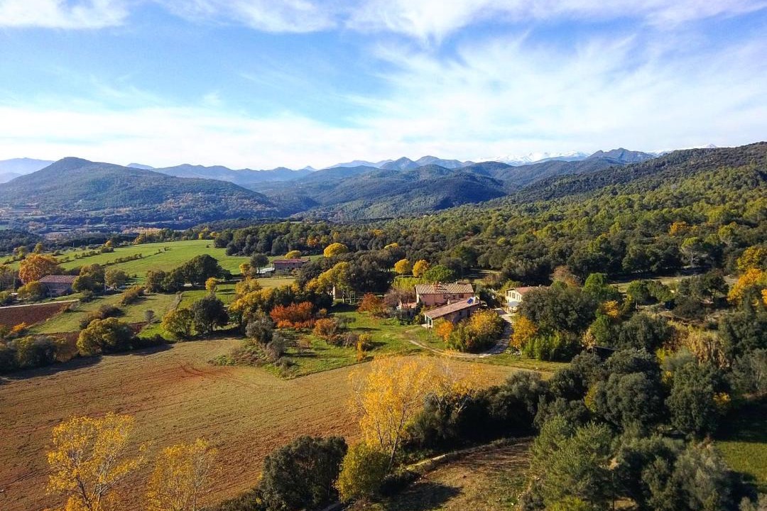Photo of Others in Tortella