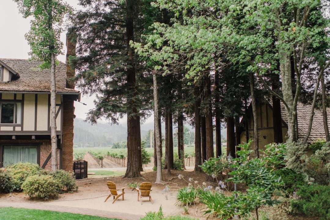 Photo of Others in St. Helena