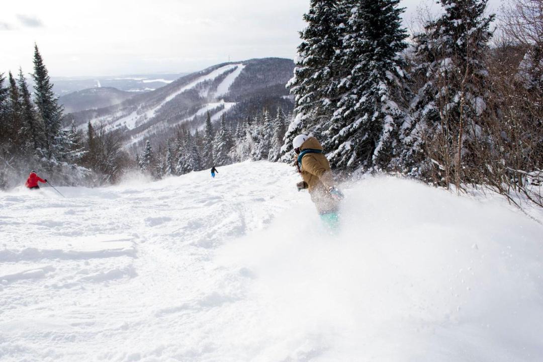 Photo of Others in Stoneham