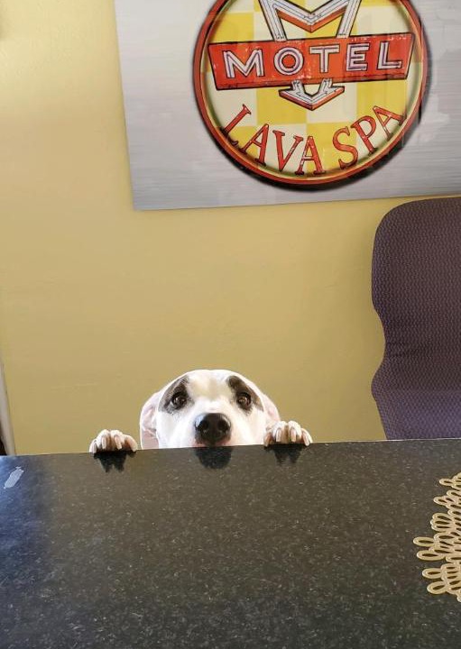 Photo of Others in Lava Hot Springs