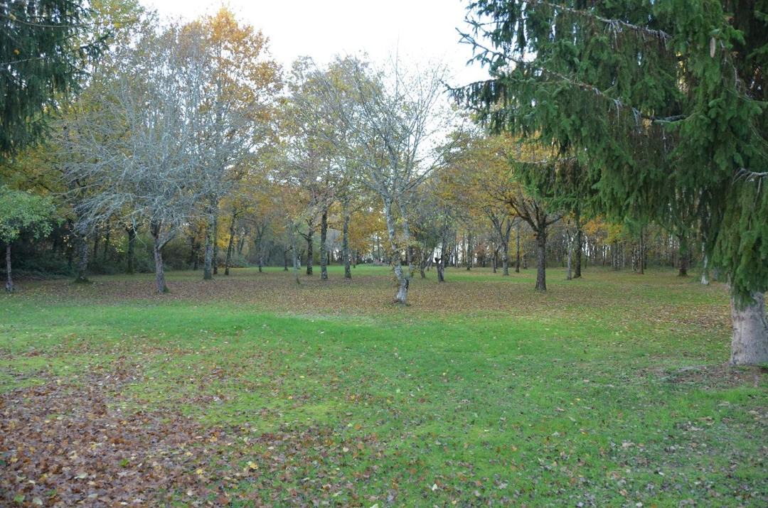 Photo of Outdoor in Saint-Martin-des-Champs