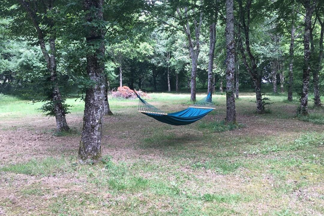 Photo of Others in Saint-Martin-des-Champs