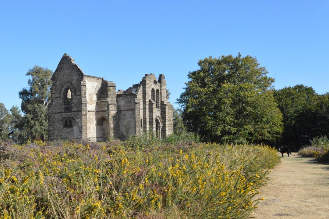 Photo of Others in Sussac