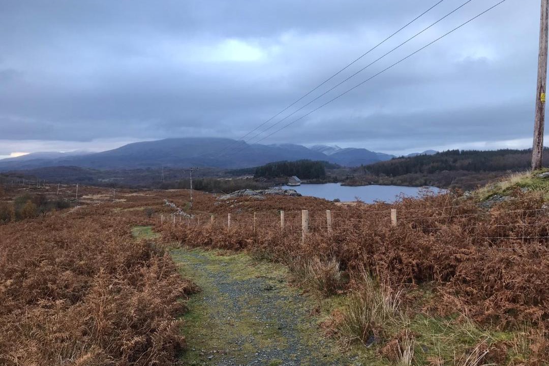 Photo of Outdoor in Trawsfynydd