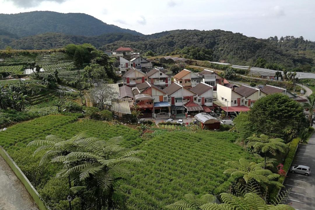 Photo of Others in Brinchang