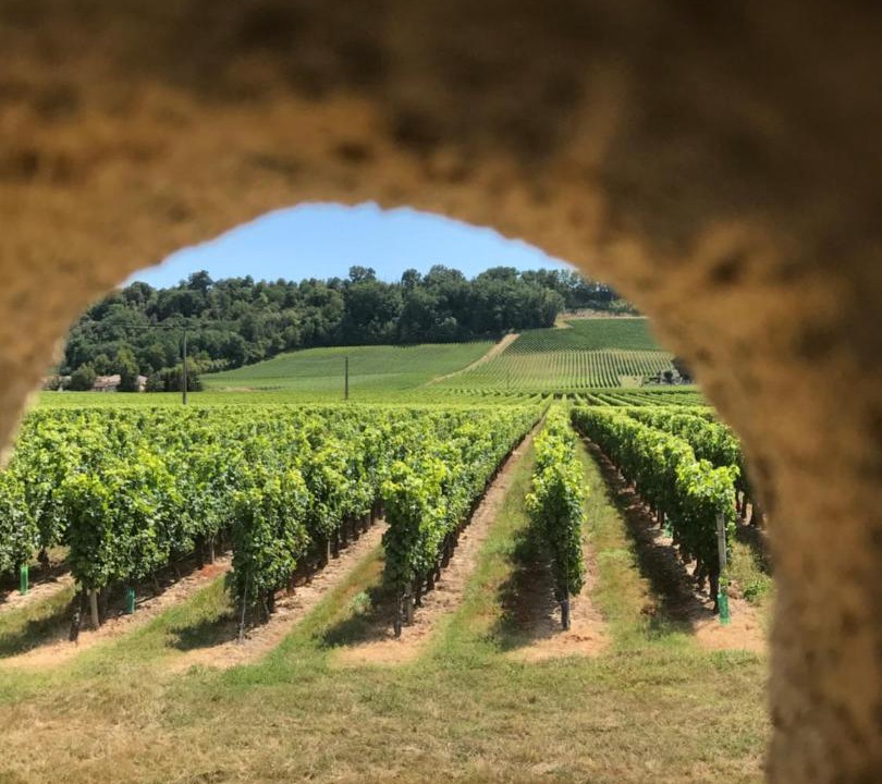 Photo of Others in Flaujagues