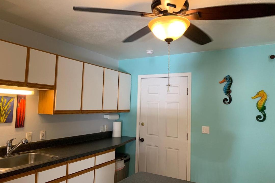 Photo of Others in Kahaluu Bay