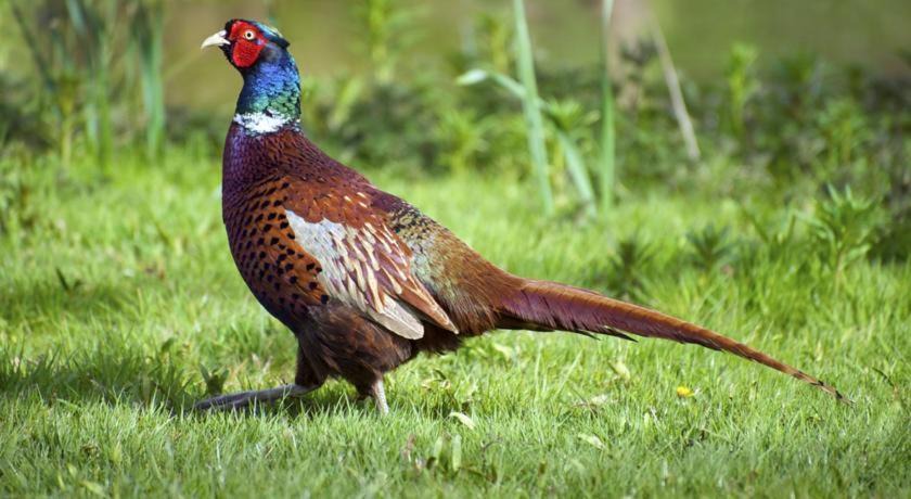 Photo of Human In Picture in Combridge