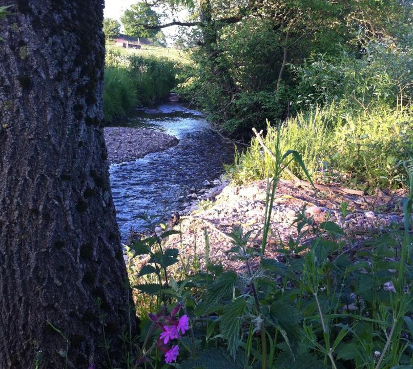 Photo of Others in Combridge