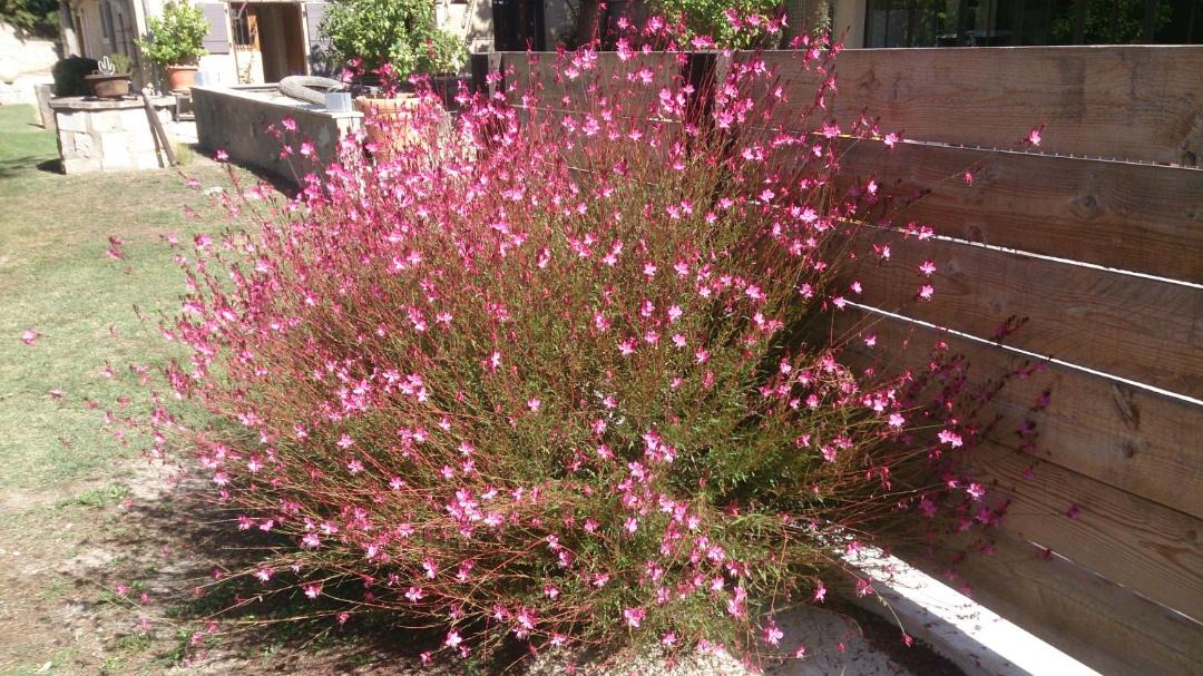 Photo of Outdoor in Barbentane