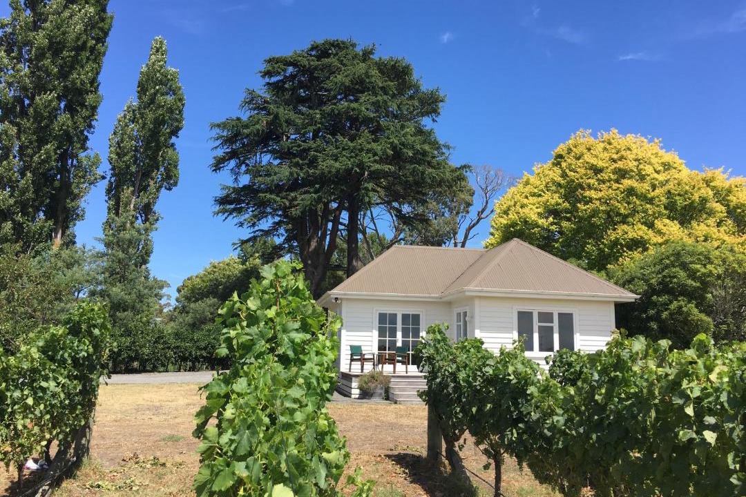 Photo of Others in Havelock North