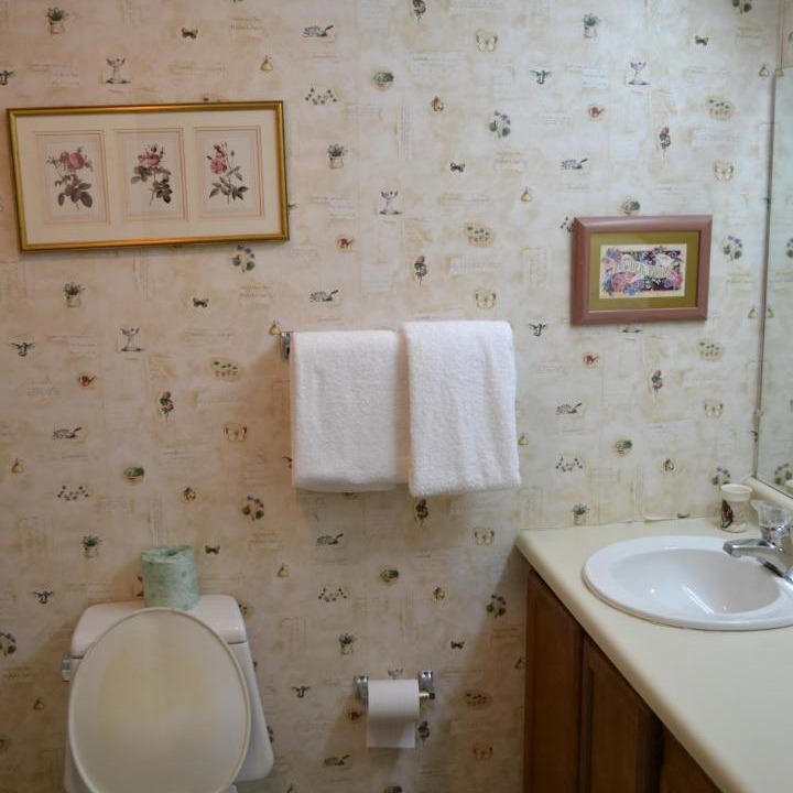 Photo of Bathroom in Pigeon Forge