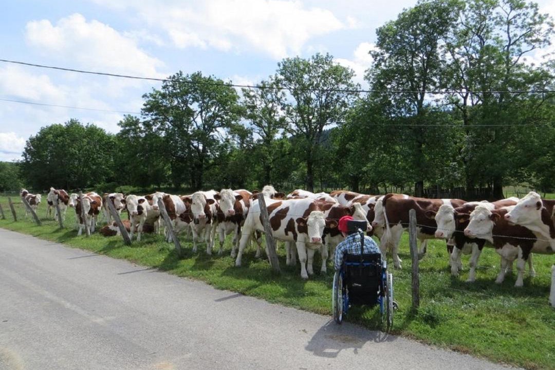 Photo of Others in Pierrefontaine-les-Varans