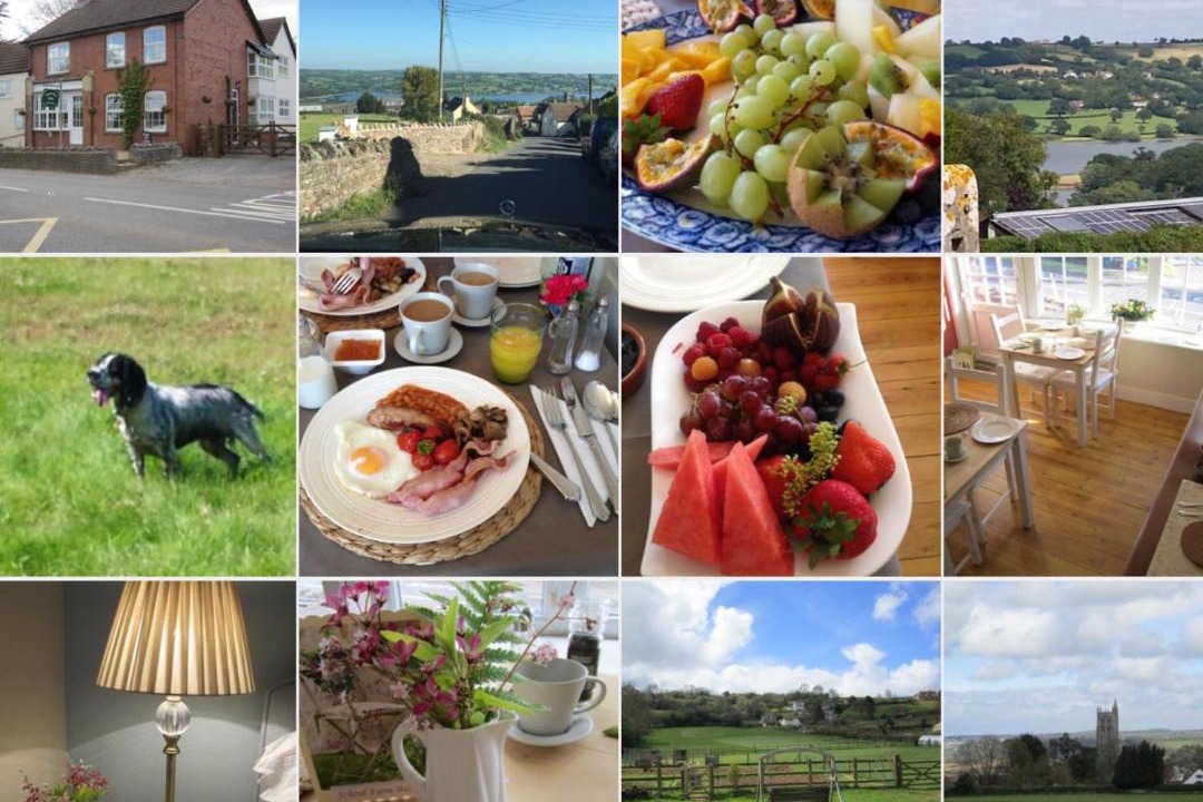 Photo of Others in Blagdon