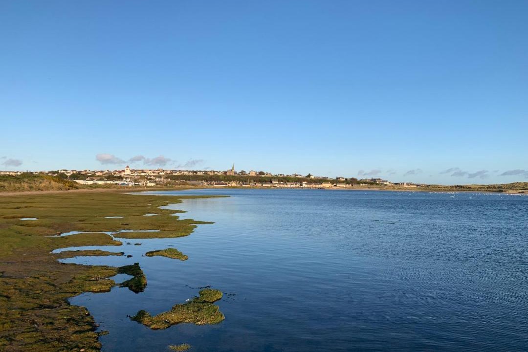 Photo of Others in Lossiemouth