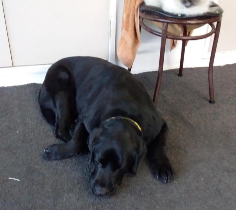 Photo of Others in Whitianga