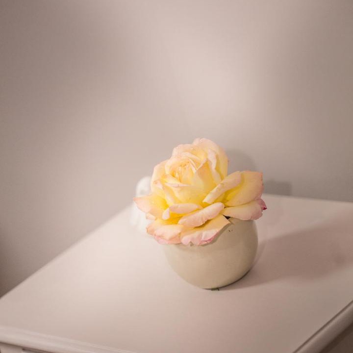 Photo of Others in Escolives-Sainte-Camille