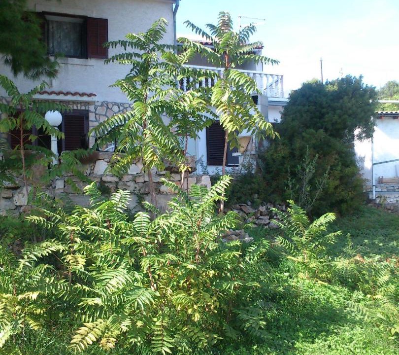 Photo of Others in Podstrazje