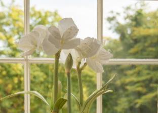 Photo of Others in Livingston