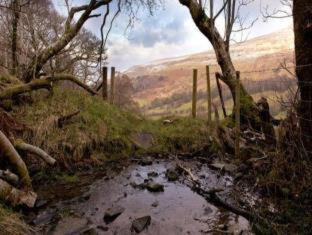 Photo of Others in Libanus