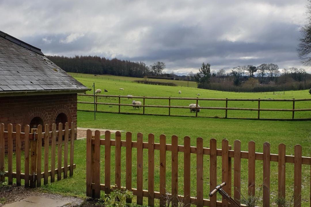 Photo of Others in Redlynch