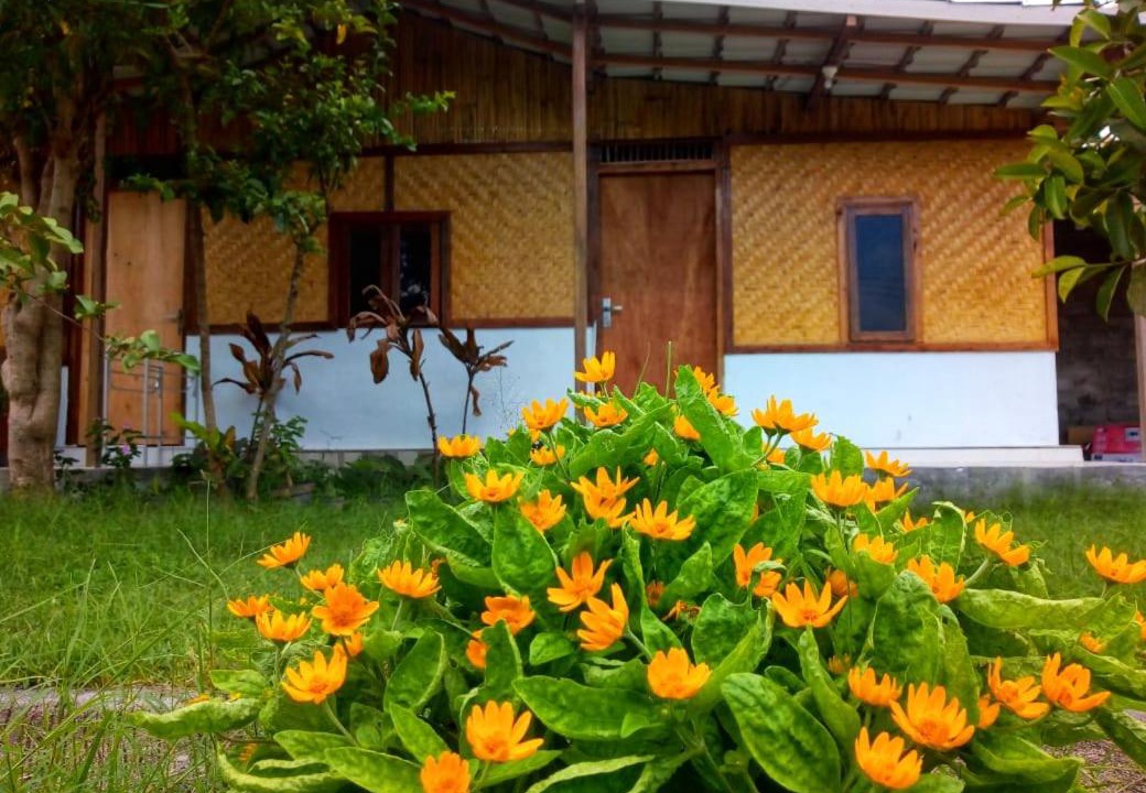 Photo of Buildings in Kecamatan Pringgasela