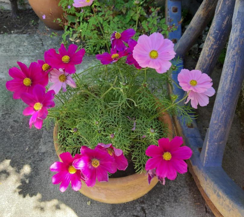 Photo of Patio Balcony in Les Adjots