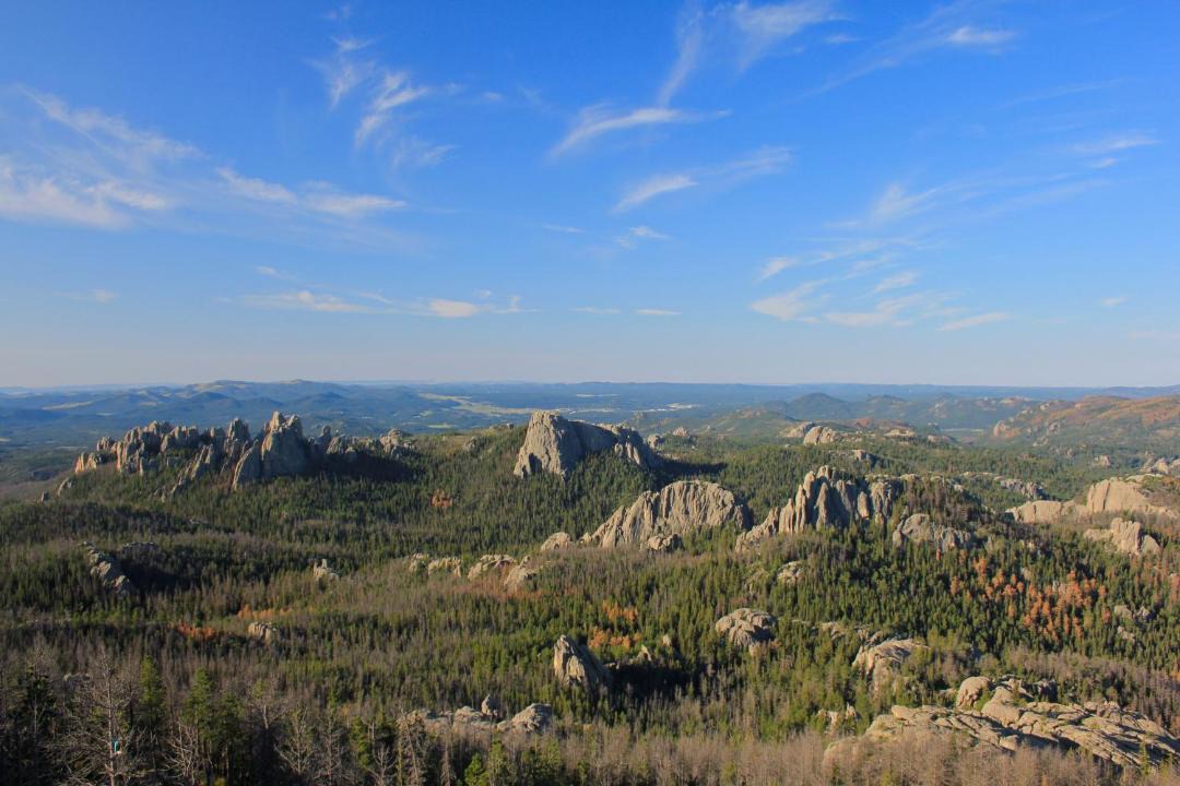 Photo of Others in Rapid City