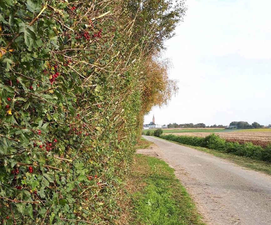 Photo of Outdoor in Meteren