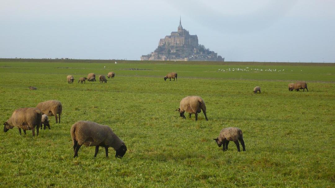 Photo of Others in Ceaux