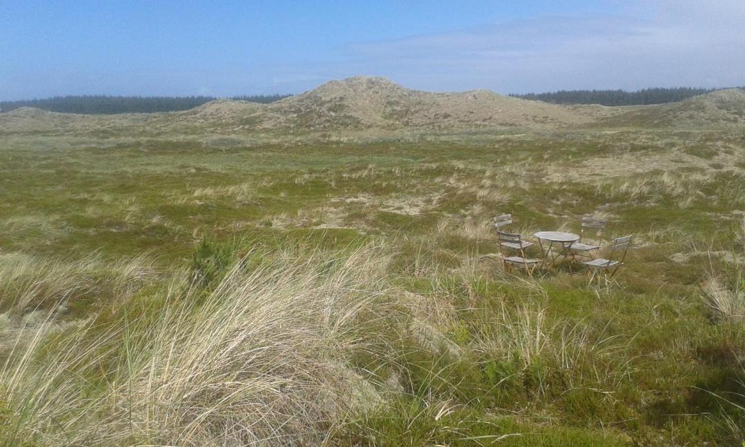 Photo of Outdoor in Rødhus