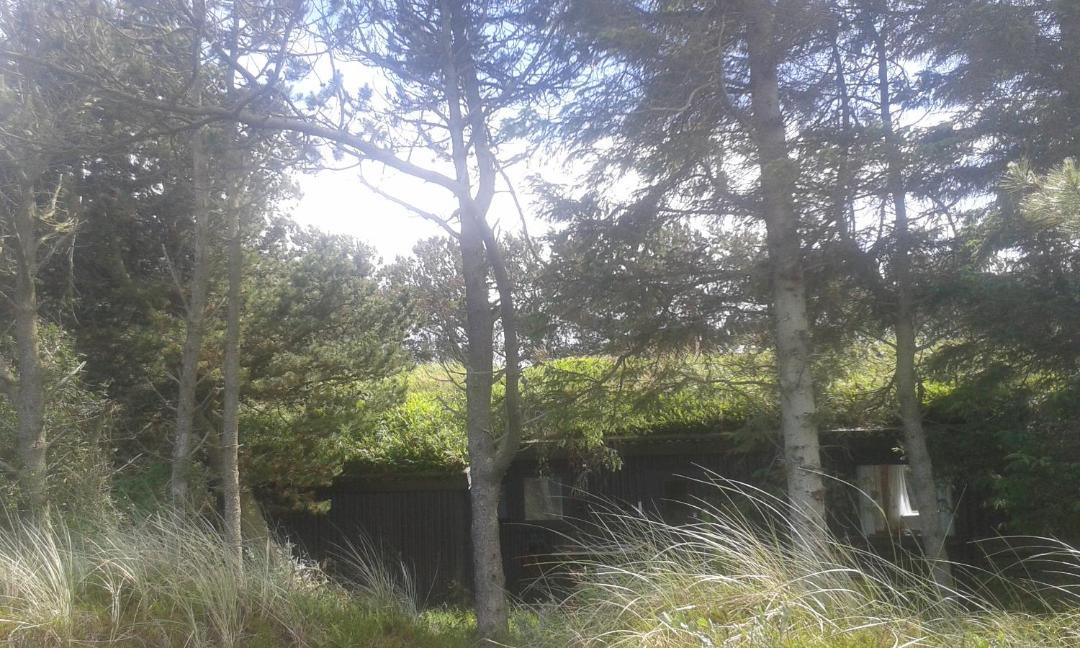 Photo of Outdoor in Rødhus