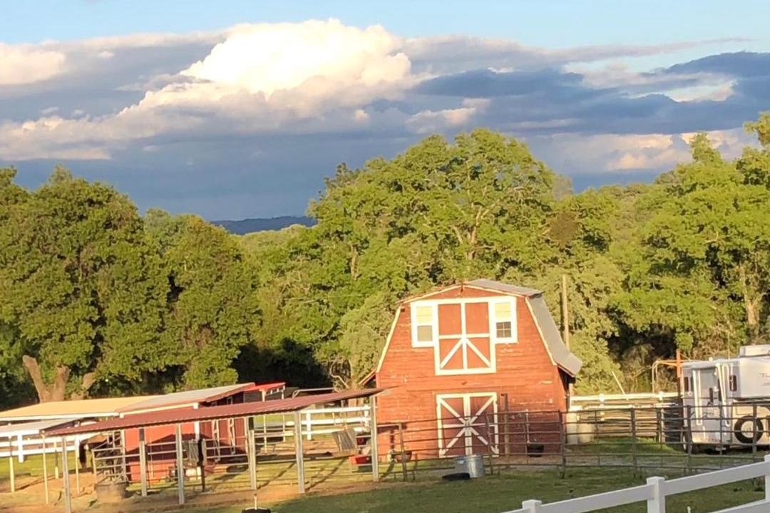 Photo of Others in Pilot Hill