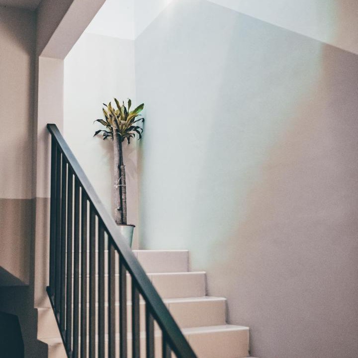 Photo of Others in Banting